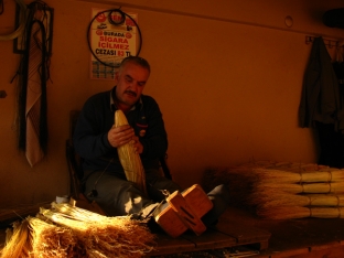 Süvari Süpürge