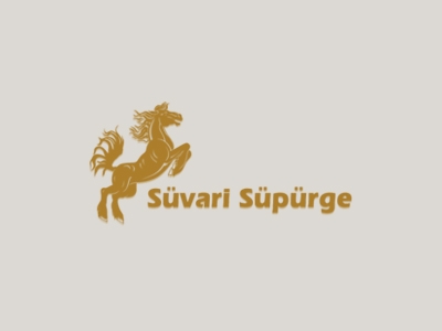 Sakarya Süpürge Sanayi - Gaziantep